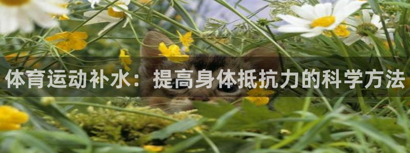MK体育官方正版app娱乐网站:体育运动补水:提高身体抵抗力