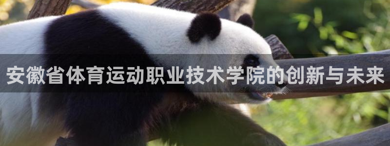 MK体育官方正版app新能源:安徽省体育运动职业技术学院的创