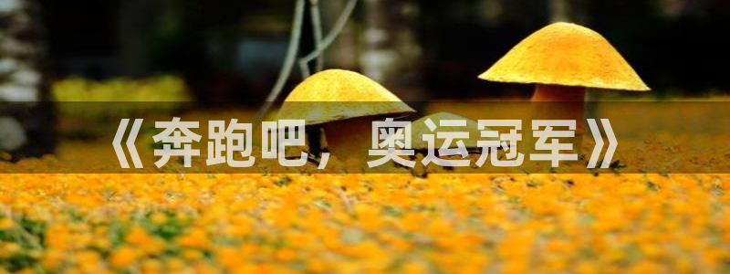 MK体育官网下载招商电话地址是多少:《奔跑吧,奥运冠军》